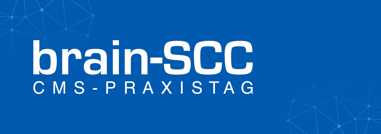 CMS-Praxistag ©brain-SCC GmbH