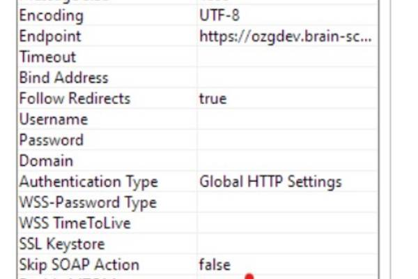 Vorgangsraum API Aktivierung MTOM