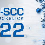 brain scc jahresrueckblick 2022 blau