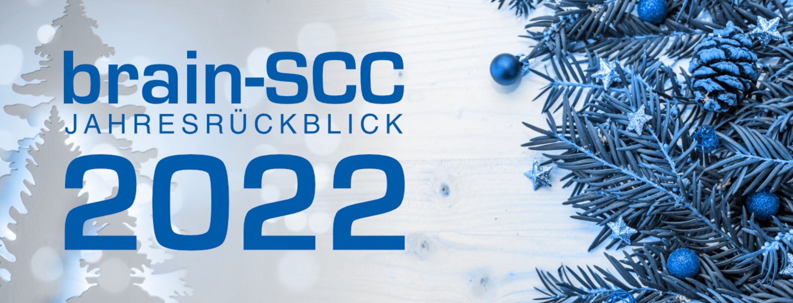 brain scc jahresrueckblick 2022 blau ©brain-SCC GmbH