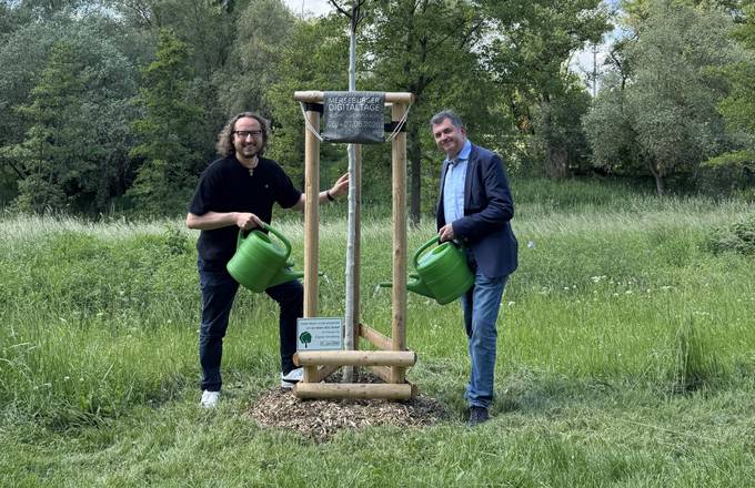 Unsere Vogelbeere steht, frisch gepflanzt und angegossen!